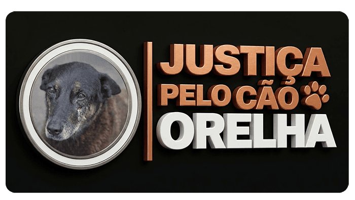 Justiça pelo Cão Orelha